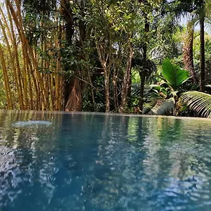 Chalet A Peace In Paradise, Anse Royale